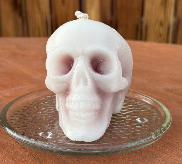 Anatomy Bloody Skull Candle