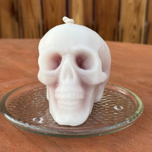 Anatomy Bloody Skull Candle
