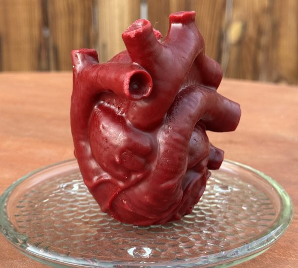 Anatomy Human Heart Candle