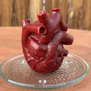 Anatomy Human Heart Candle